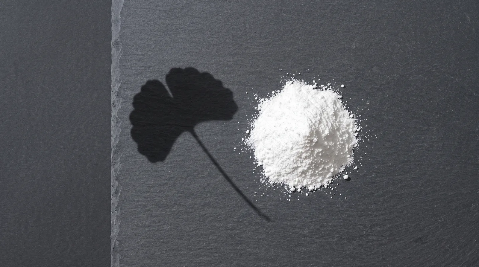 Pile of fine white Madecassoside powder beside the shadow of a Centella asiatica leaf on dark grey slate